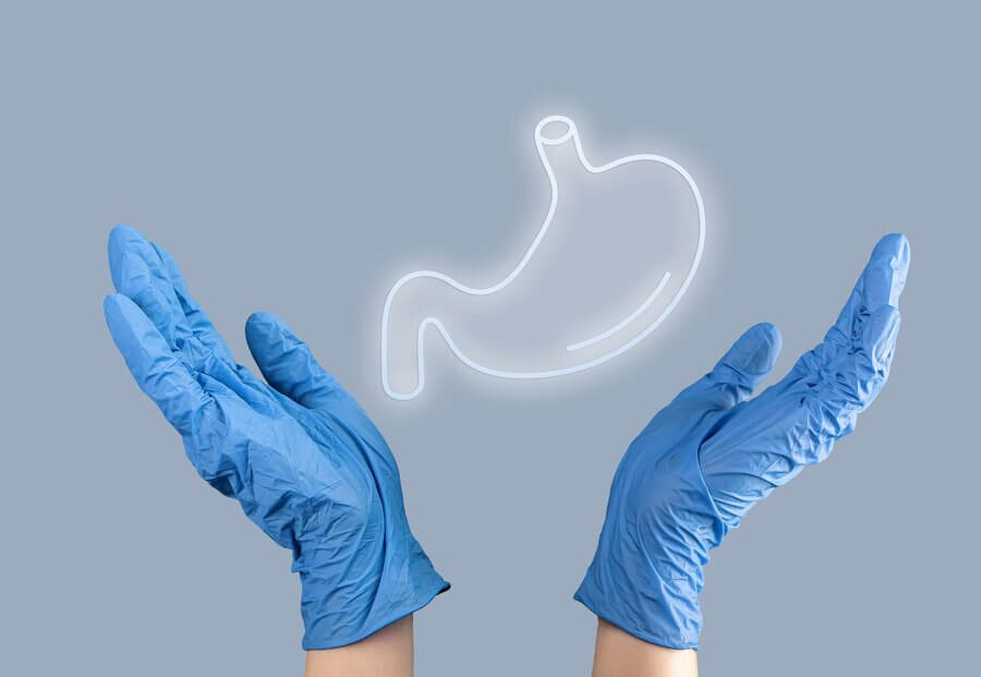 위 건강을 보호하는 식사 습관과 추천 음식