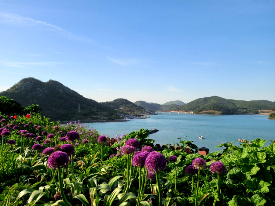 고흥 힐링파크 쑥섬쑥섬