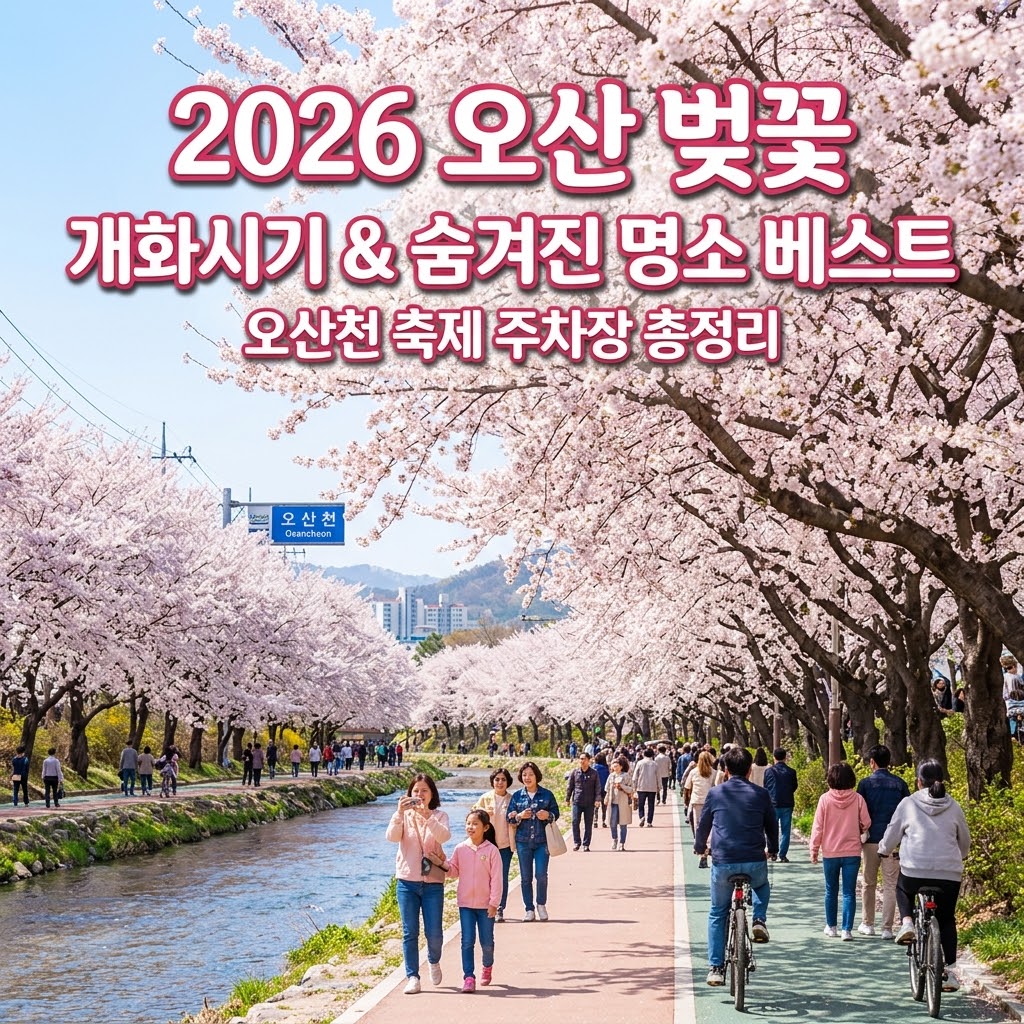 오산 벚꽃 명소