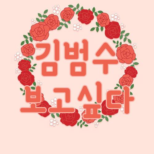 김범수 보고싶다