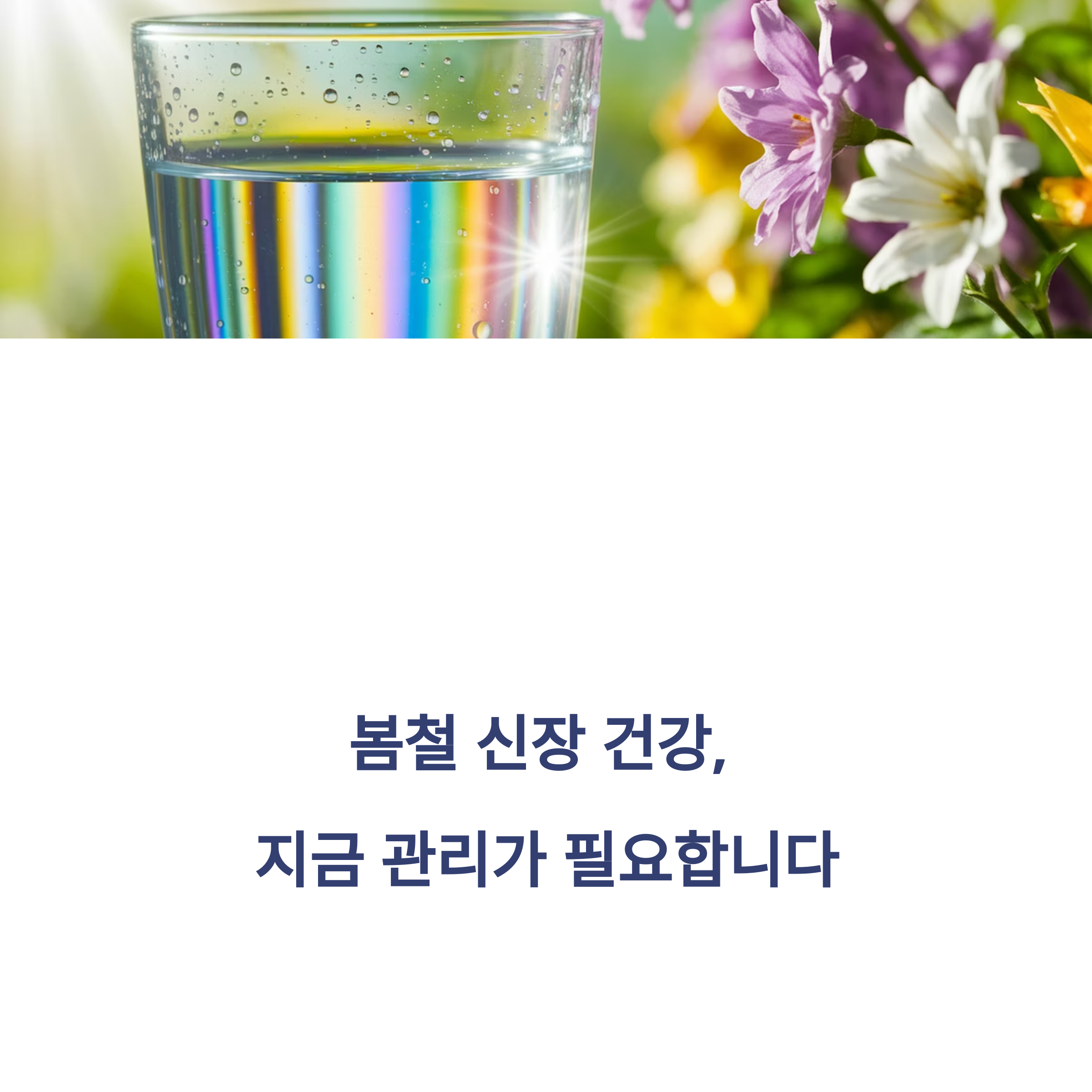 봄철 수분 부족이 신장 건강에 미치는 영향과 예방 팁관련 사진