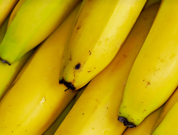 위산 역류에 좋은 음식 정리