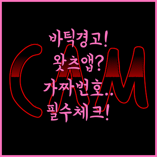 바틱에어 왓츠앱 상담 번호와 가짜 번..