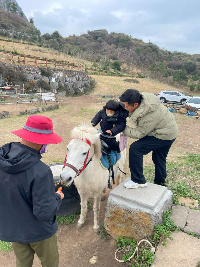제주-승마체험-산방산-유아-승마
