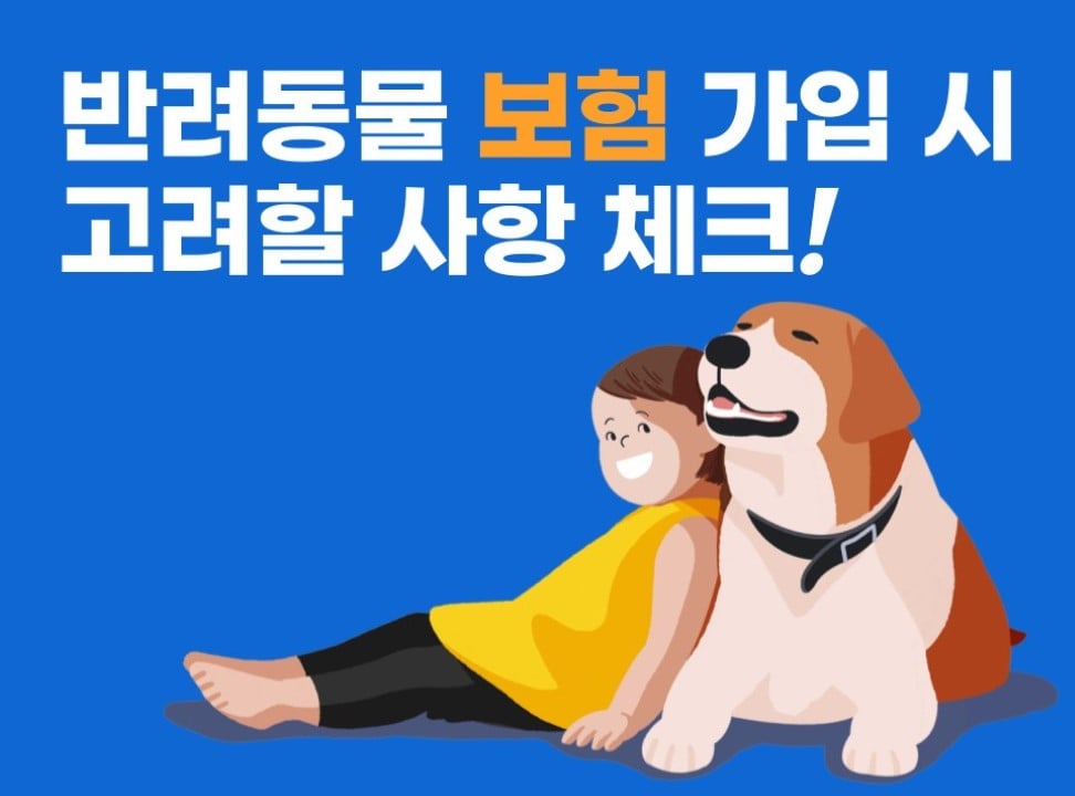 반려동물 보험
