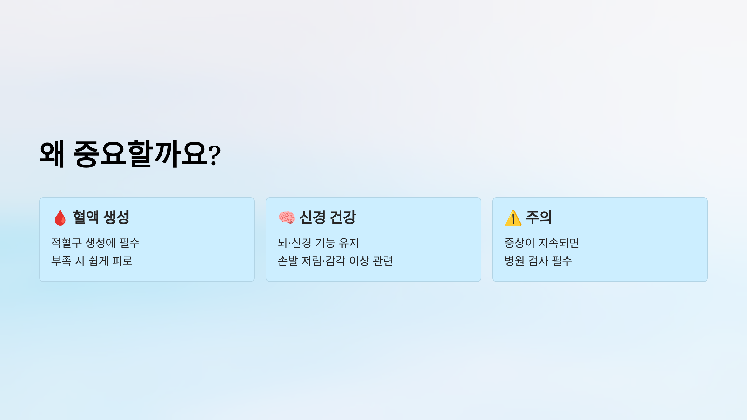 비타민 B12가 많은 음식