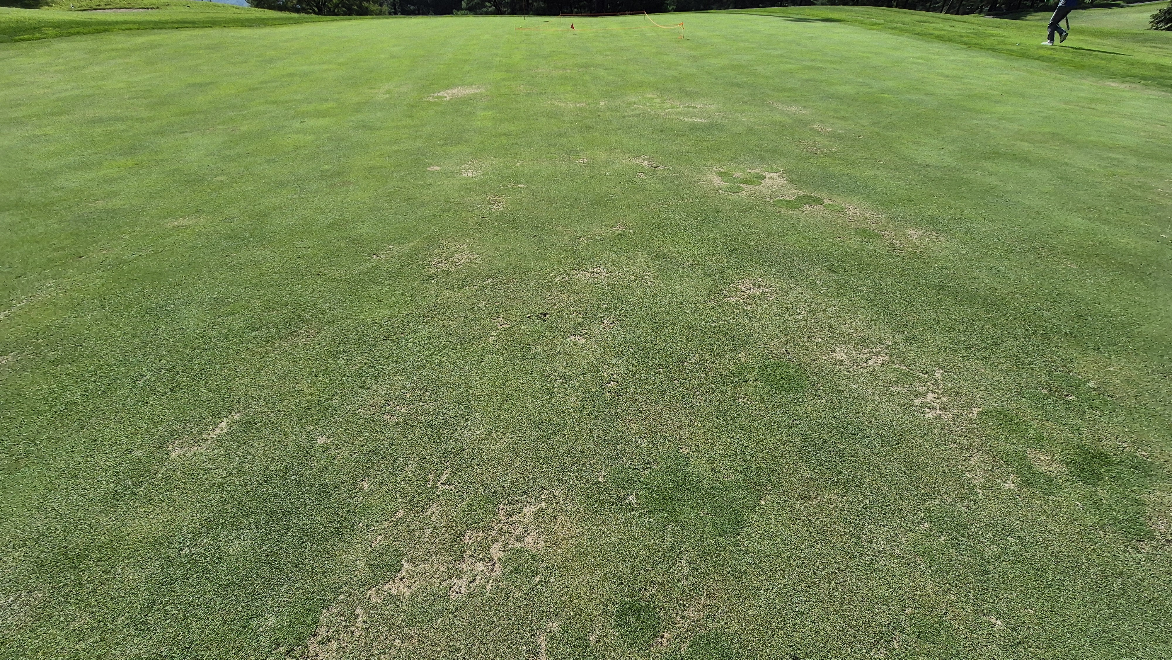 골프존카운티 천안 라운드 후기