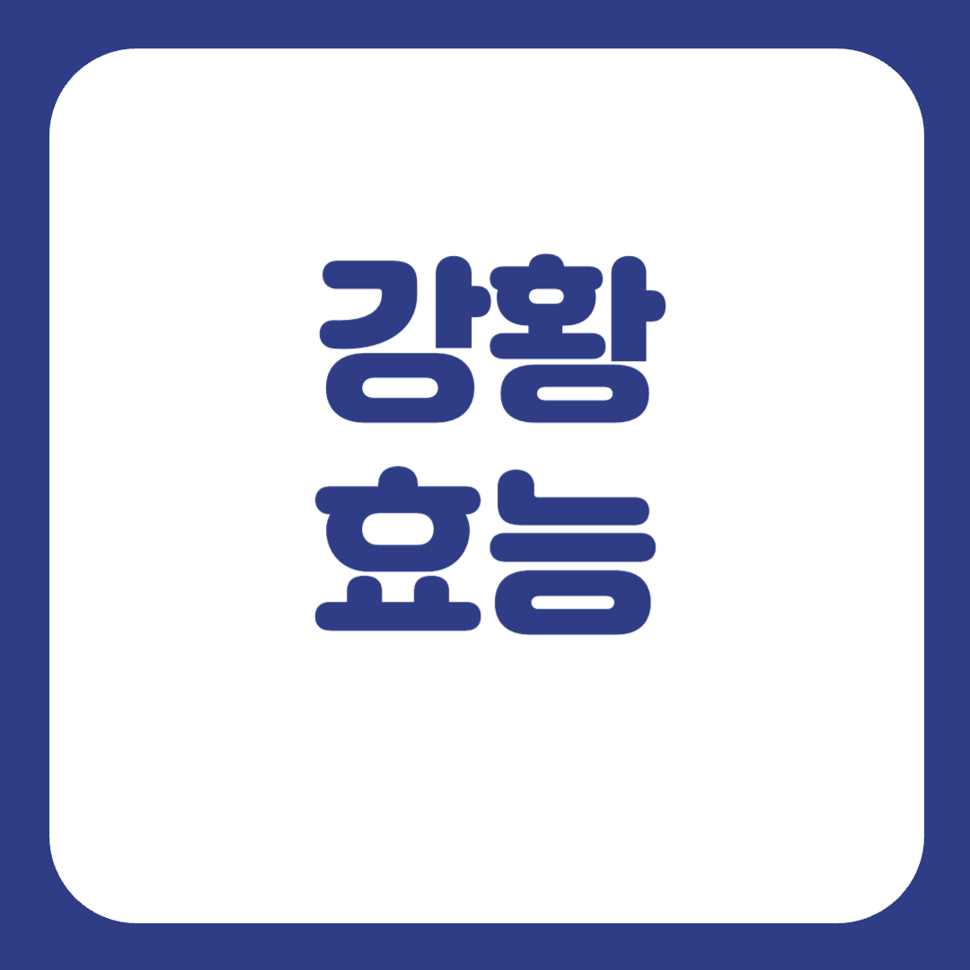 강황차 효능