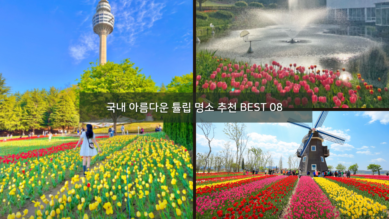 국내 아름다운 튤립 명소 추천 BEST 08 나들이 피크닉