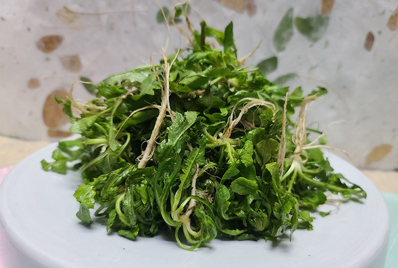 냉이 효능 및 부작용