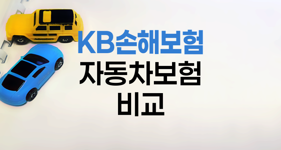 KB손해보험 자동차보험, 가족한정 vs 기명피보험자+지정1인 비교