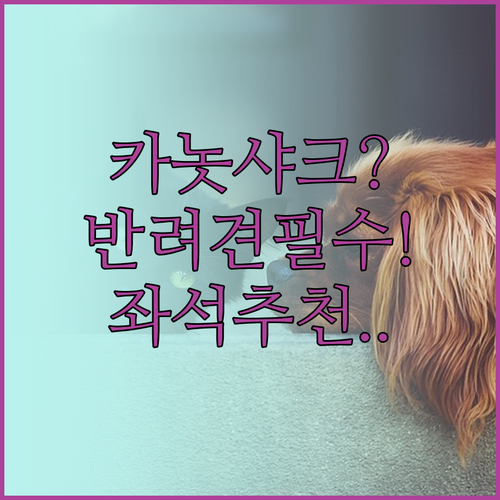 반려견 동반 카놋샤크 좌석 지정 필수..