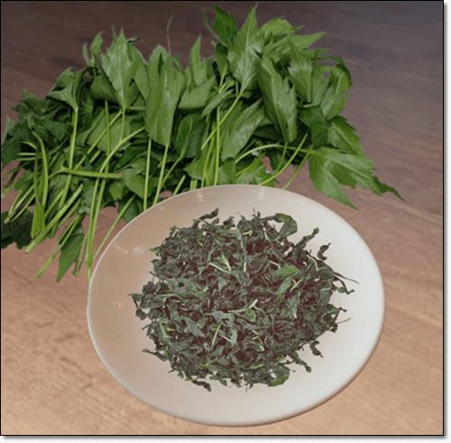 당귀잎과 당귀잎 차