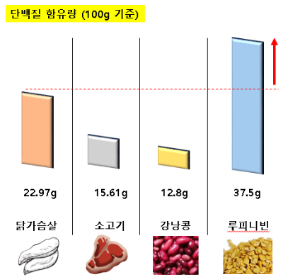 단백질 함유량 비교