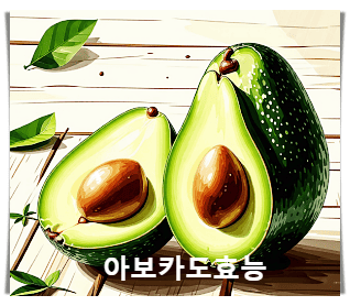아보카도 21