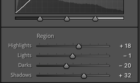 라이트룸 톤곡선 tone curve Region