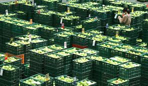 농협공판장 통합 홈페이지