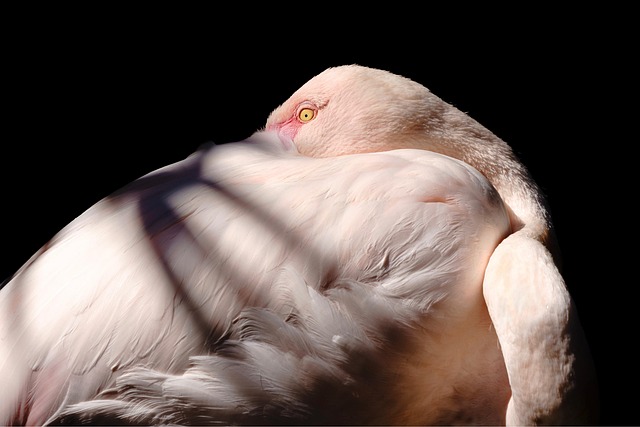 연체자 대출가능한곳 2