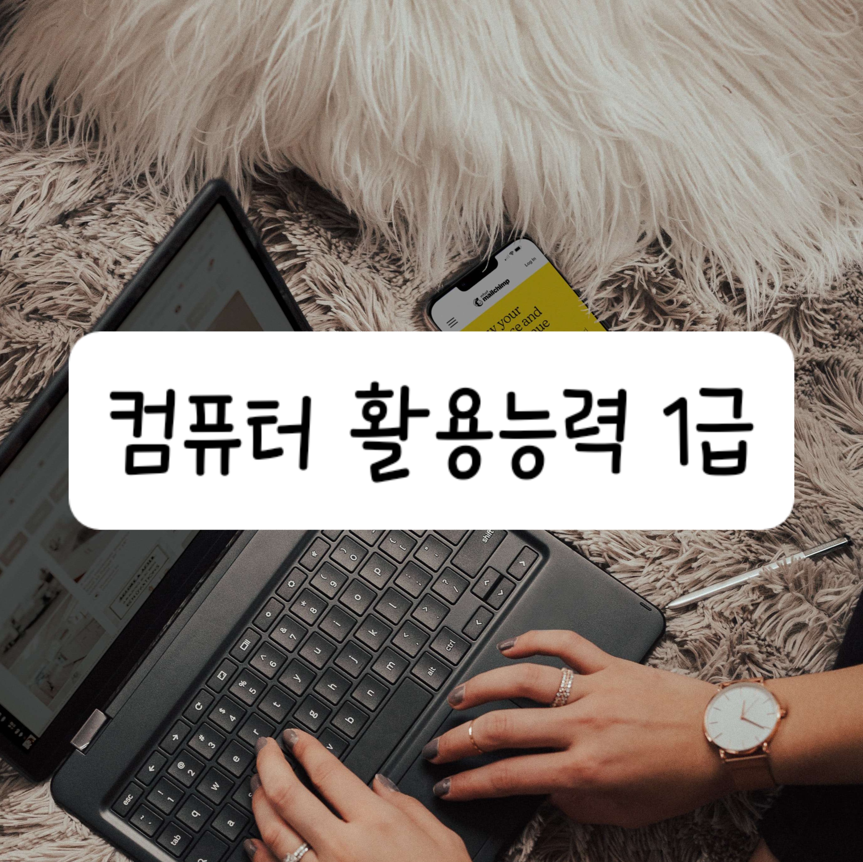 컴퓨터 활용능력 1급