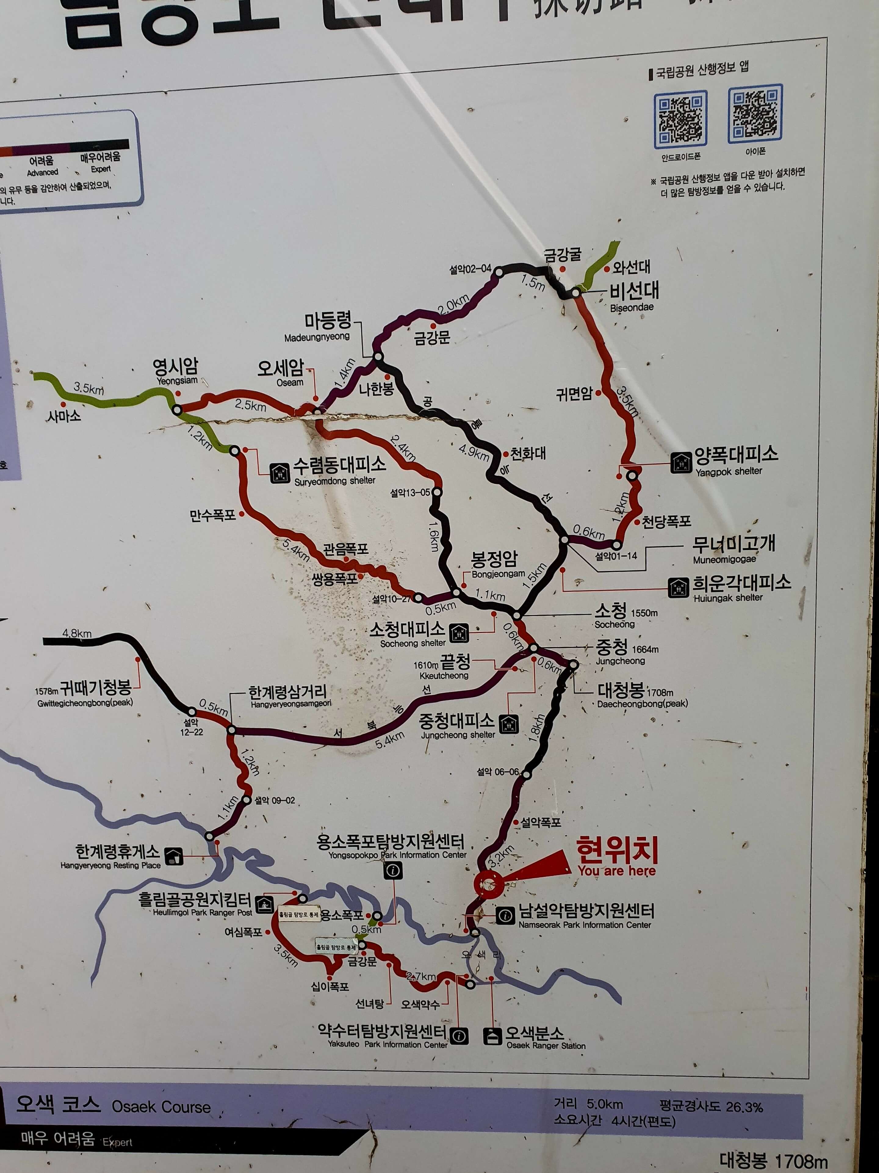 엄지네포장마차