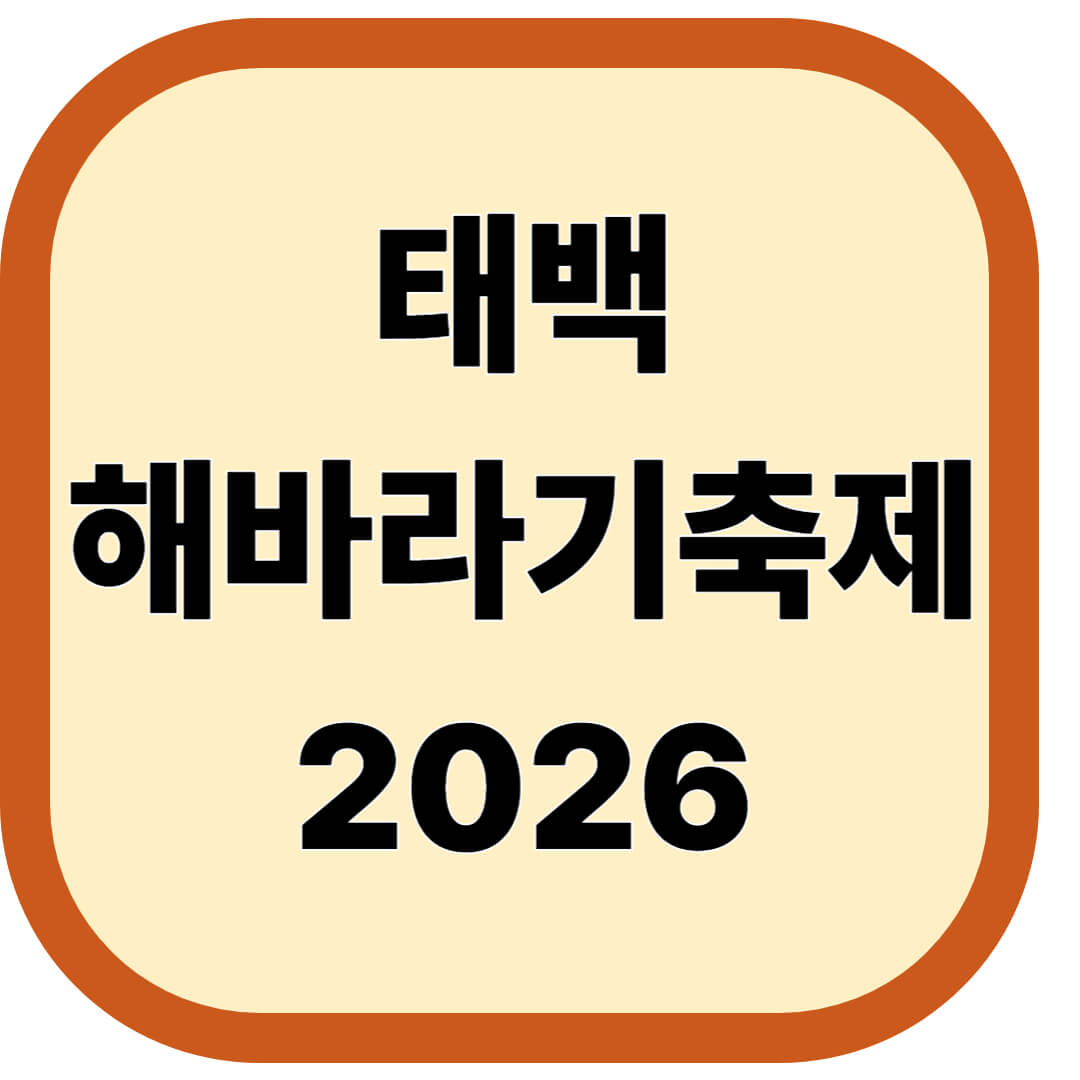 태백 해바라기축제