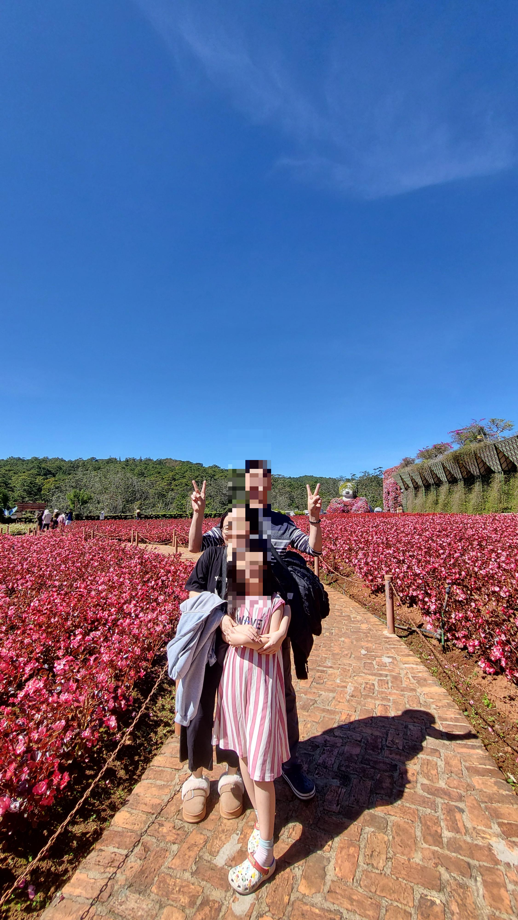 [달랏 여행] 꽃의 도시를 만나다! &amp;#39;플라워 가든&amp;#39; 붉은 베고니아 꽃밭 &amp; 미니 동물원(초3 아이 동반)