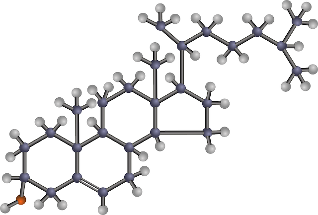 총콜레스테롤 정상수치, LDL/HDL, non-HDL