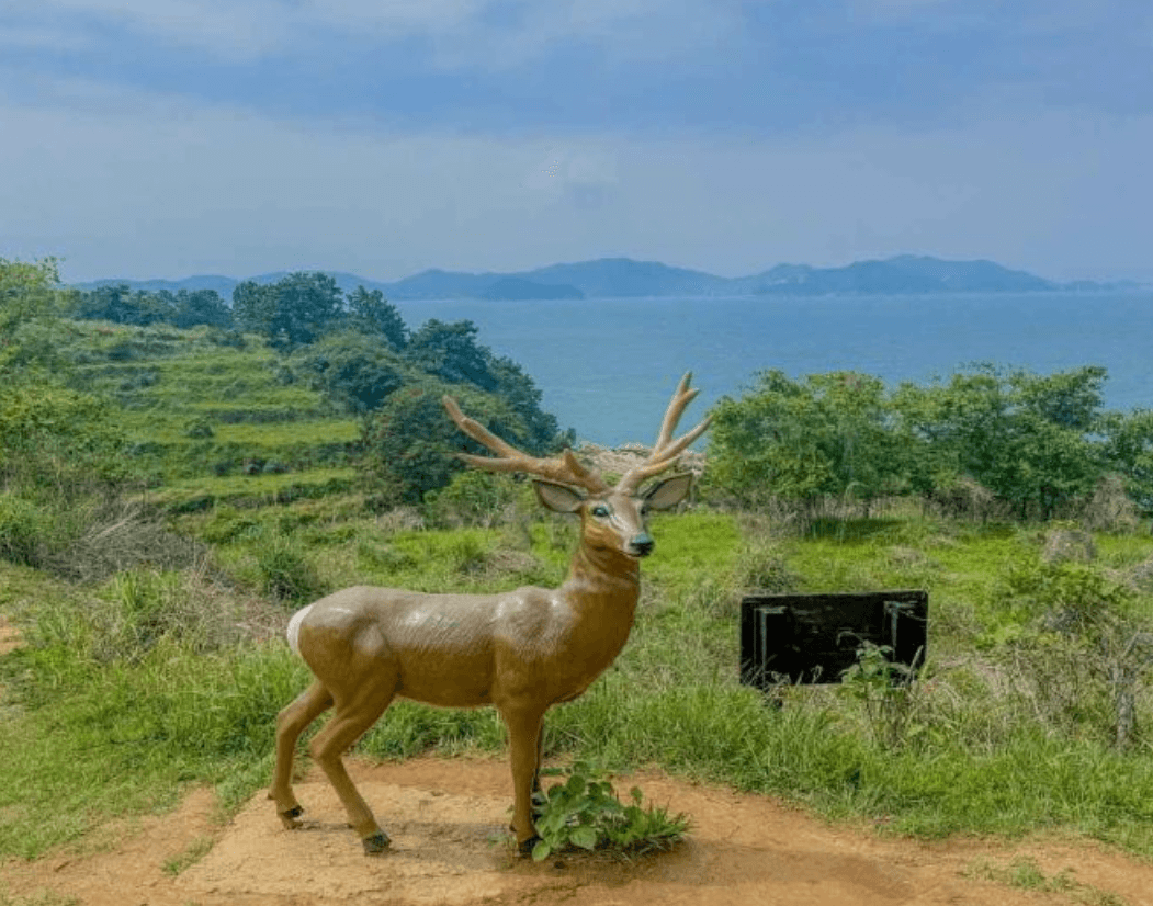 거제 이수도, '1박 3식'으로 유명한 섬 완벽 가이드