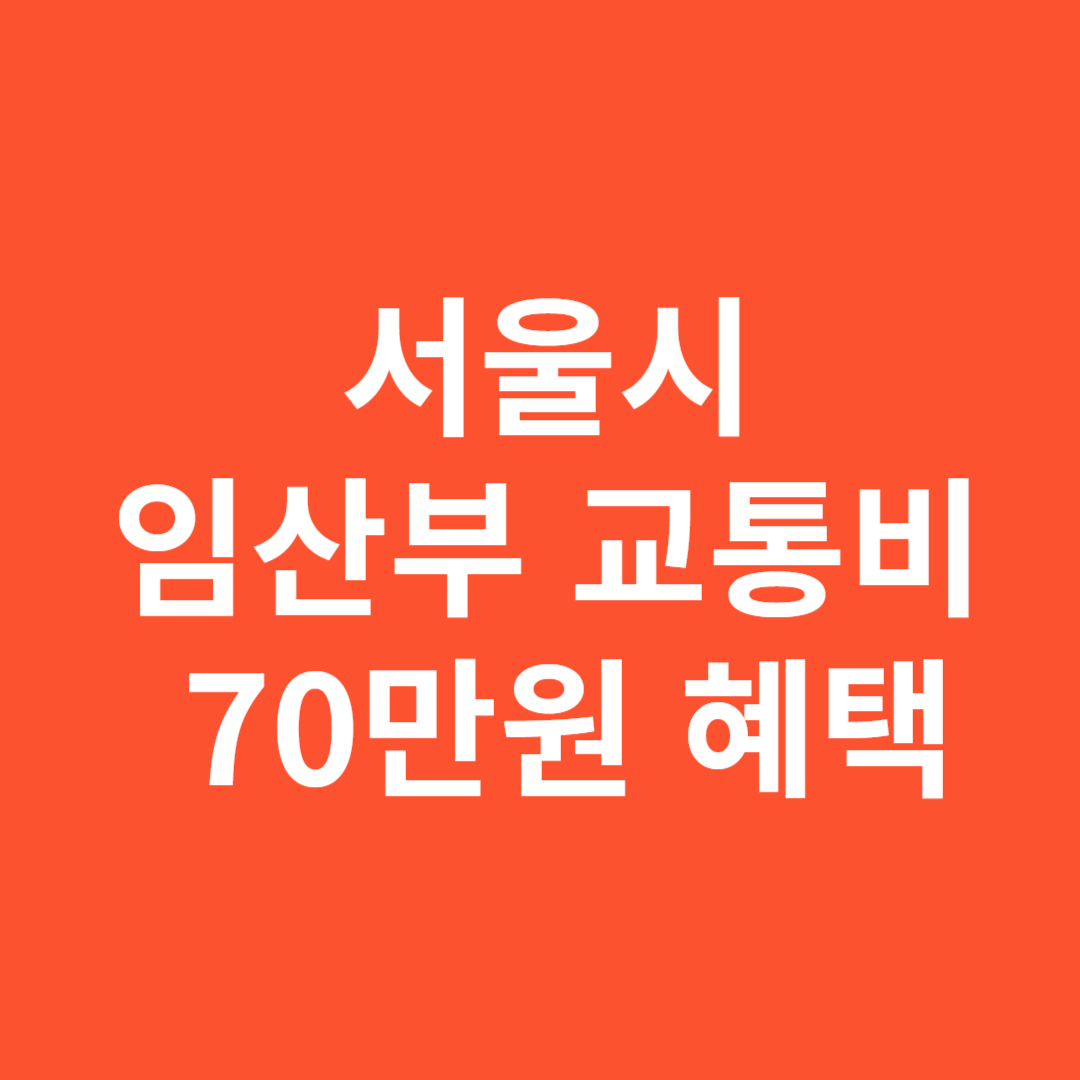 서울시 임산부 교통비 지원 신청 방법과 조건 안내