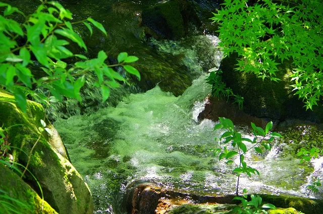 수원 칠보산 등산 코스 추천 용화사 코스로 여유롭게 걷기_8