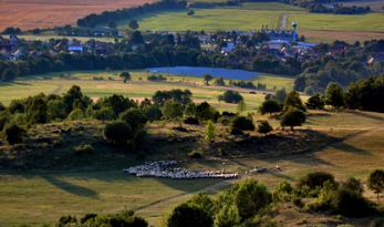 토지이용계획 확인원 신청 꿀팁 15