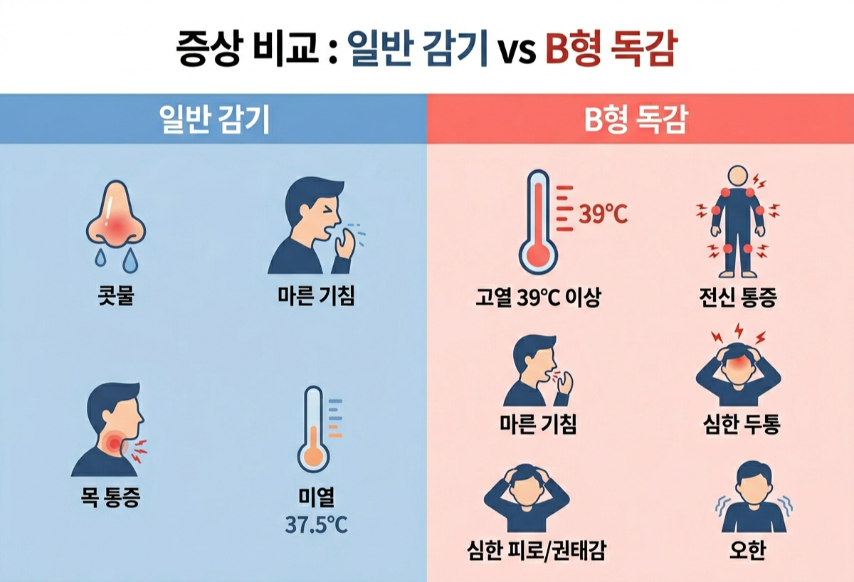 독감 감기 차이, B형 독감 증상 비교, 인플루엔자B 구별법, 고열 vs 미열, 증상 비교표