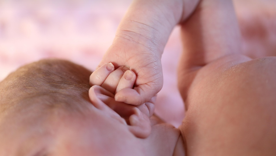 신생아 귀 사진