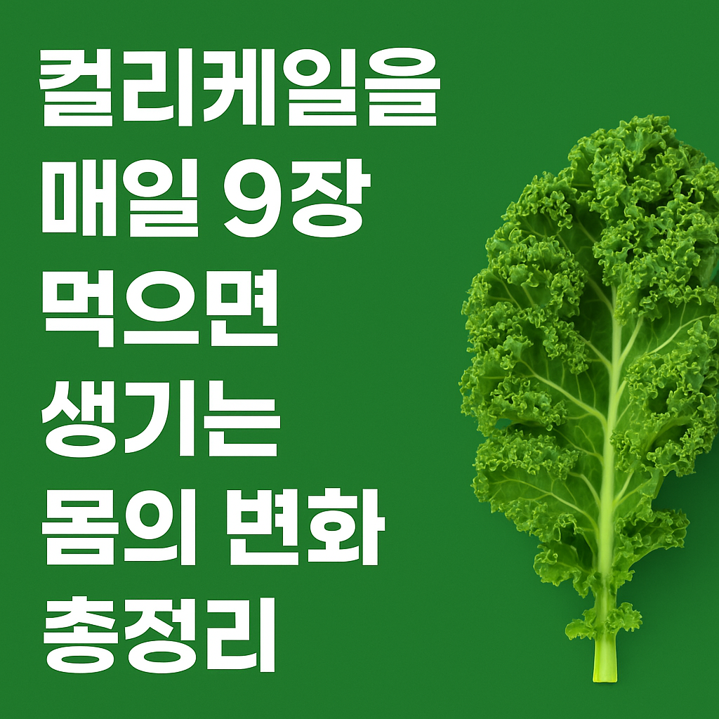 컬리케일을 매일 9장 먹으면 생기는 몸의 변화 총정리