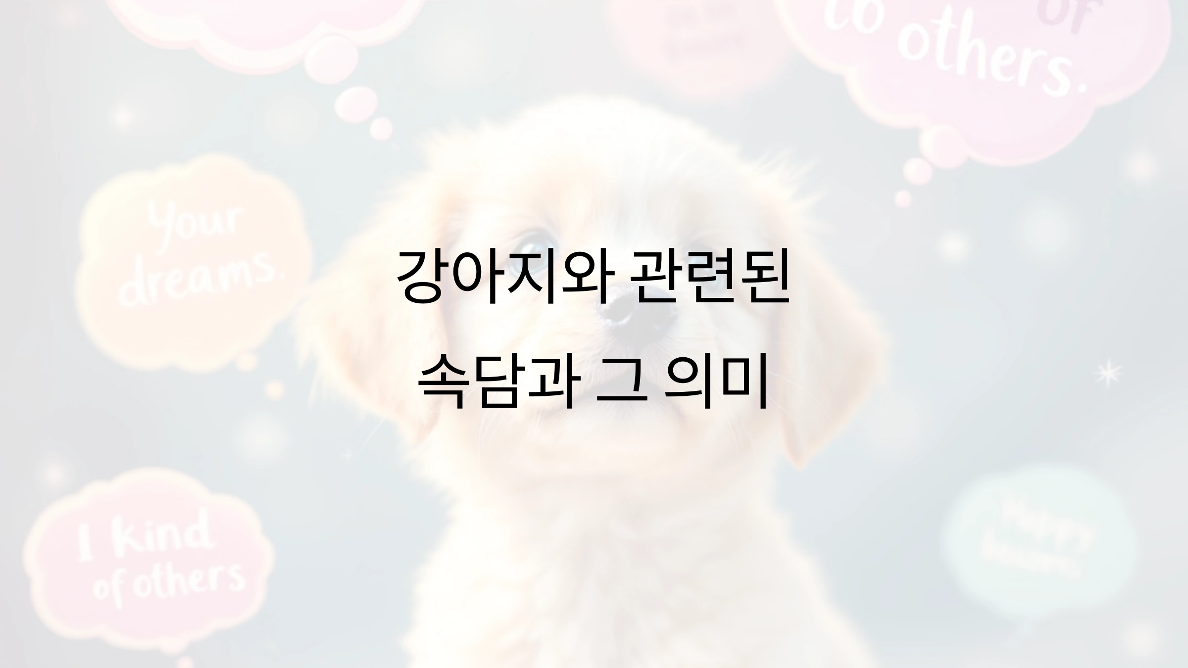 강아지와 관련된 속담과 그 의미