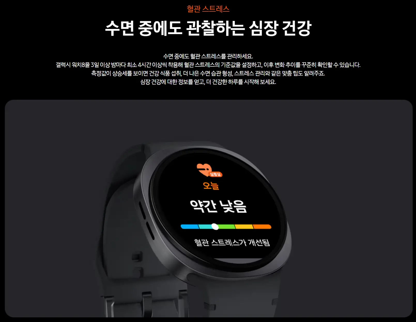사진13