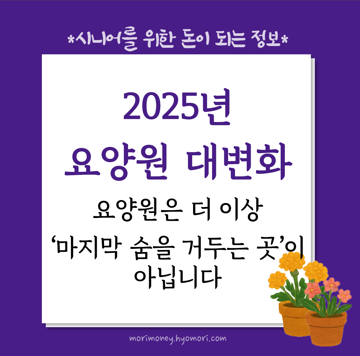 2025년 요양원 대변화, 이제 집처럼 편안한 시설에서 노후를 준비하세요