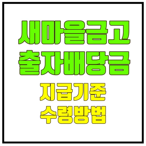 새마을금고출자배당금지급기준수령방법