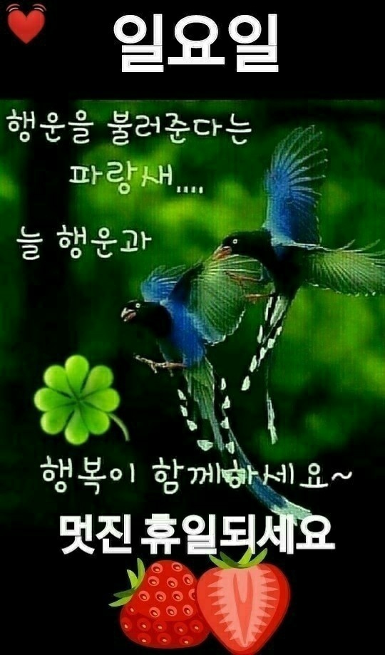 1. 일요일 인사말 3