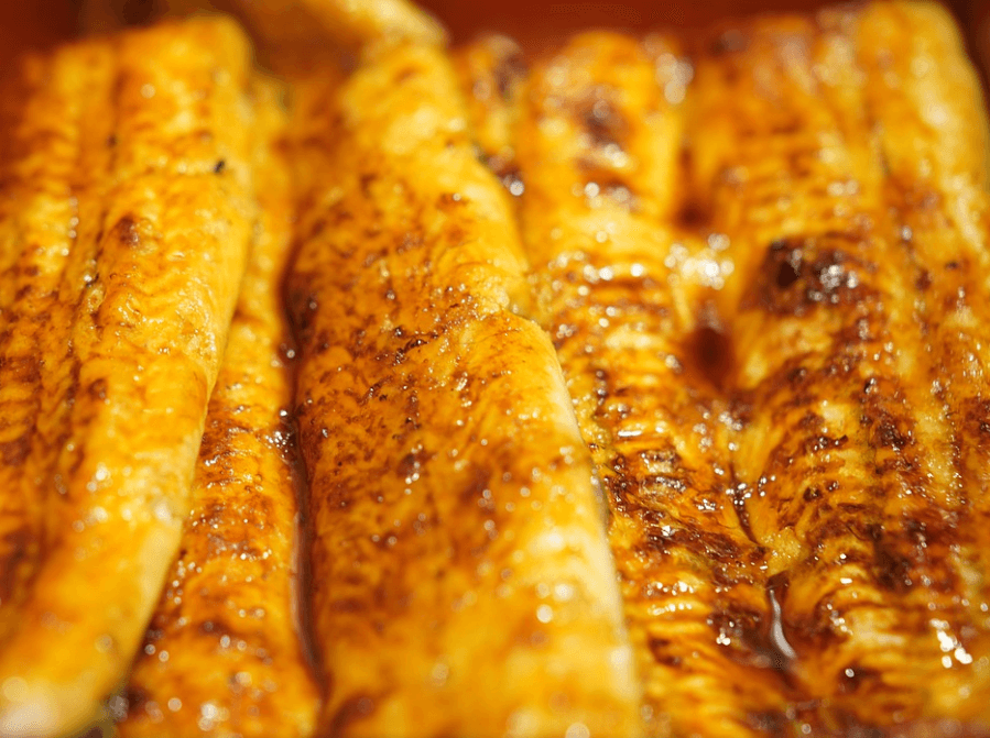 중복 추천음식 장어구이