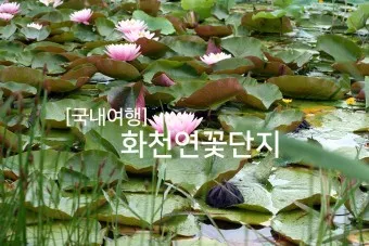 화천 가볼만한곳 베스트10 현지인 추천 필수코스_5