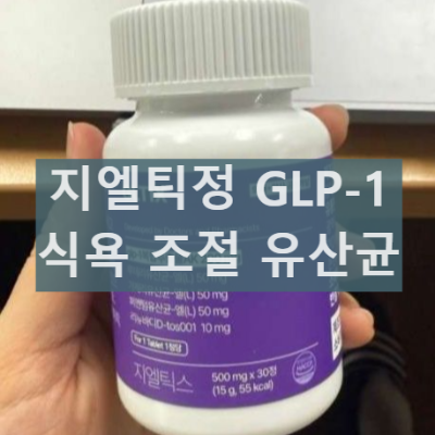 지엘틱정 GLTIX 효과 성분 부작용 GLP-1 다이어트 유산균 부작용글로 이동