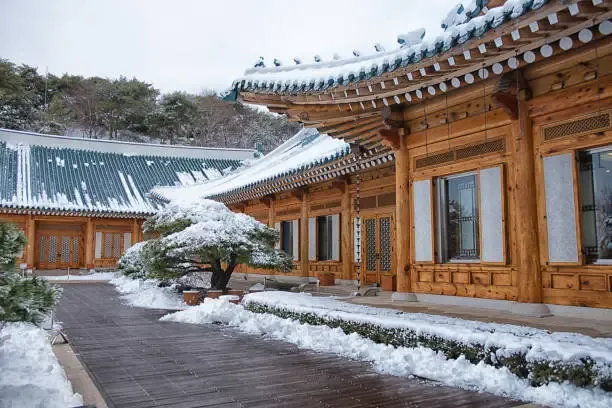 담양 죽녹원 한옥 펜션 예약