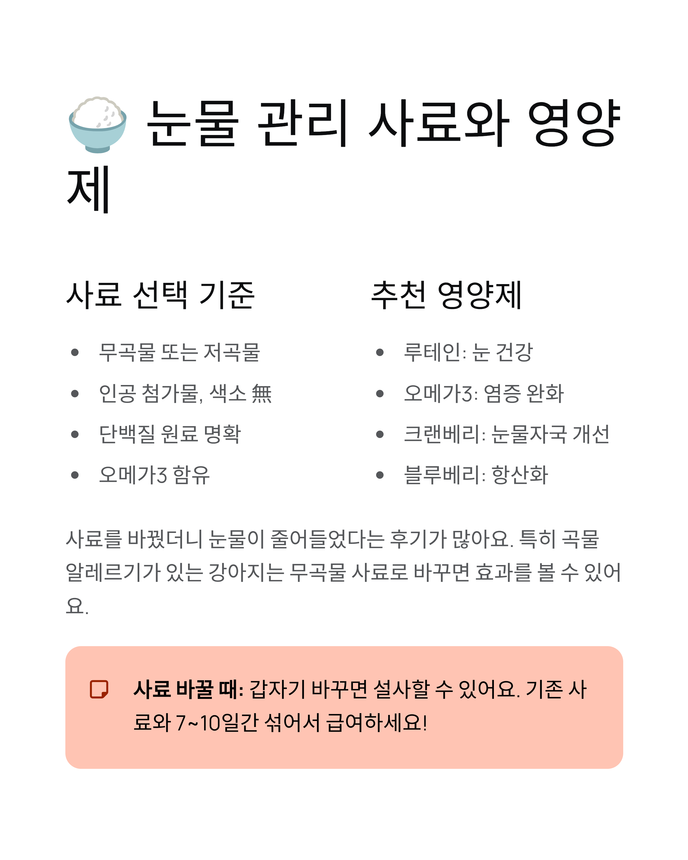 강아지 눈물관리 ❘ 눈물자국 제거 원인 닦는법 사료 영양제 완벽 가이드
