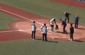 baseball
