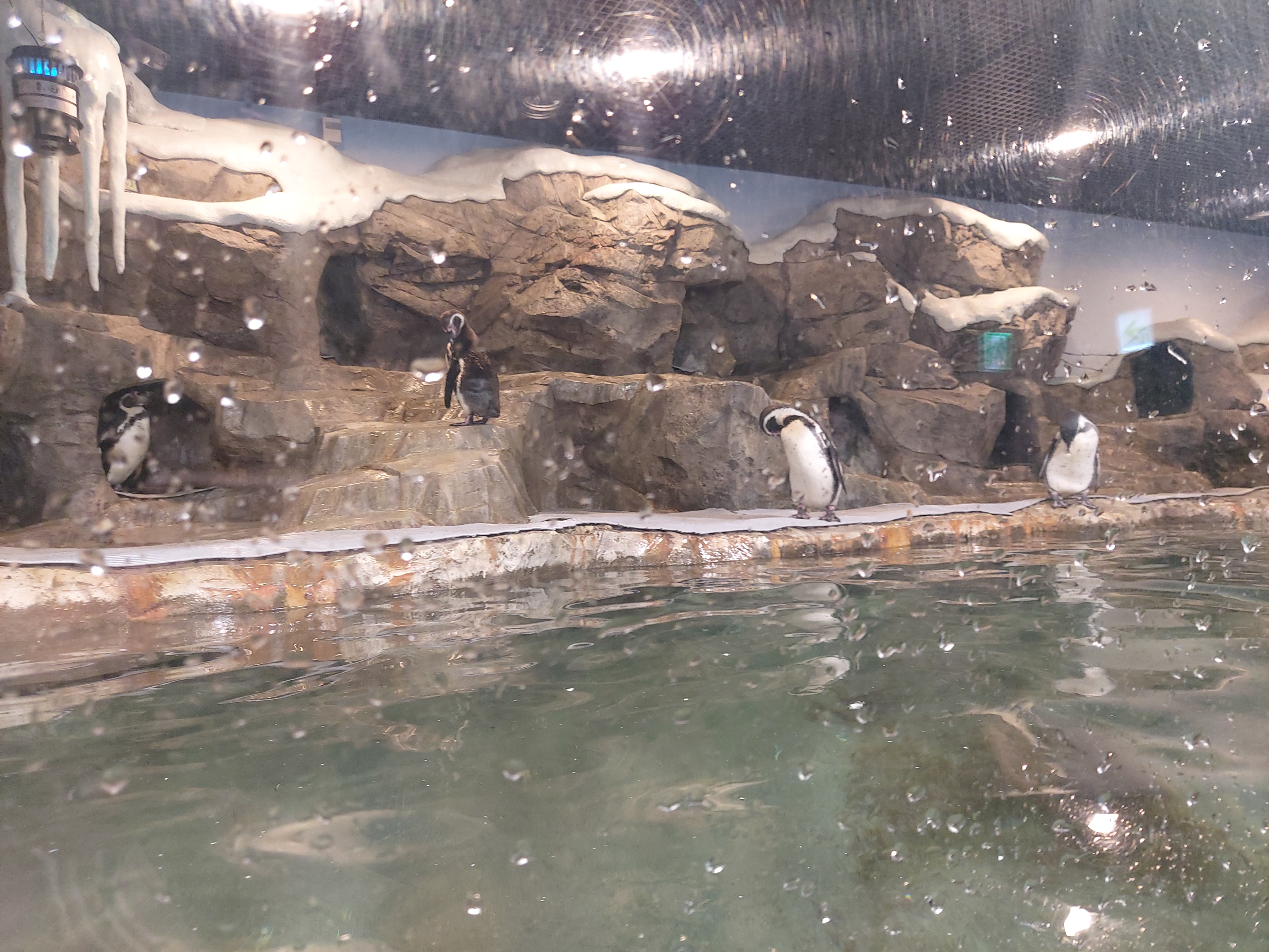 광교아쿠아플라넷