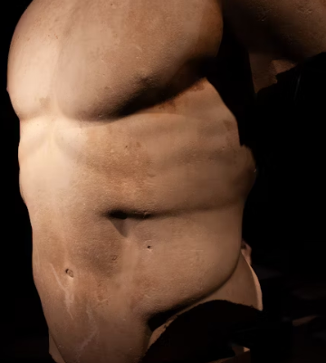 체지방률 정상범위