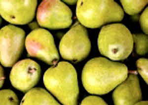 당뇨병 초기증상 수치 원인