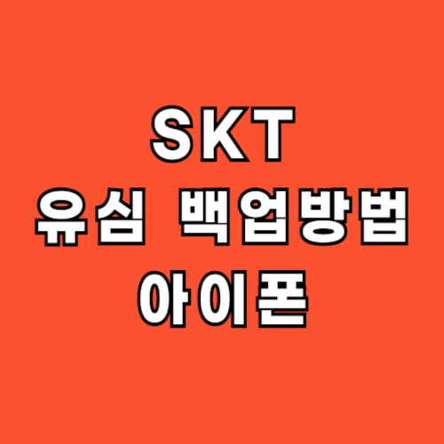 SKT-유심-데이터-백업-아이폰