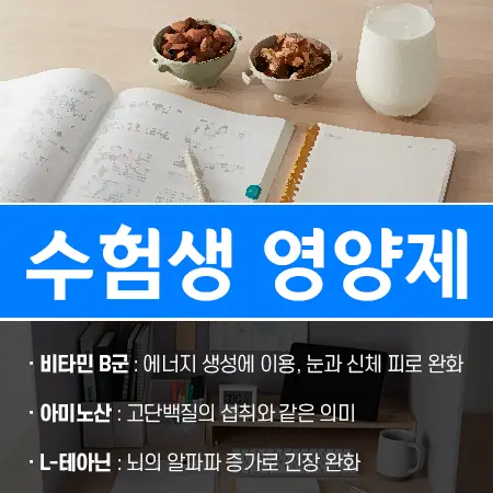 수험생 영양제